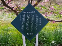宿の湯もいい湯でした