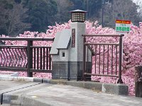 橋桁が面白いね