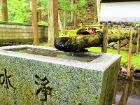 なんとも立派な樋？