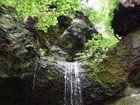 DSC 0306