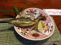 立派な鮎！