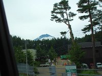 富士吉田；松林の間より