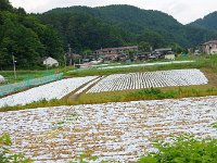 ビックリさせられる光景