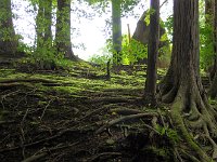 コントラスト；わかるかな～