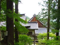 ナカナカの光景