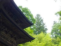 IMG 5748