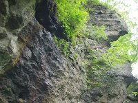 IMG 5849