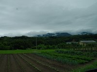 IMG 5883