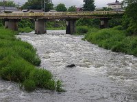 激流の碓氷川