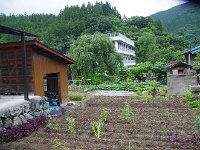 かご屋は畑に！