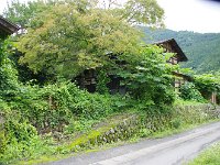 IMG 5950