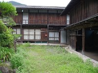 IMG 5952