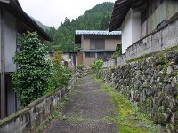 IMG 5954