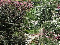 DSC 0088