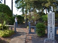 DSC 0231