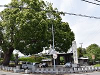 DSC 0423