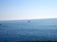 如何も、春の海！