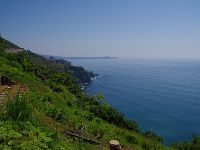 IMG 5278