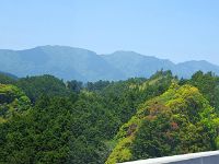 IMG 5358