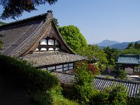 IMG 5375