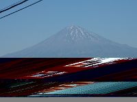 桜峠を下ると、正面に富士・・・大石寺も。