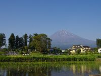 中々行着かない！