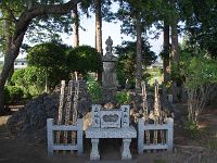 IMG 5391