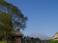 IMG 5398