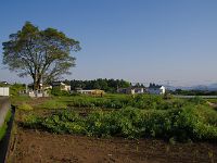 前に北山本門寺