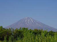 見事な形