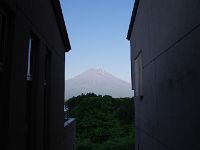 IMG 5409