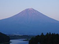 IMG 5419