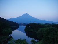 IMG 5423