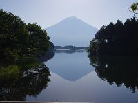 定番の一枚