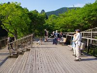ここが撮影ポイント