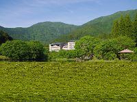 湖の畔にそびえ立つという感じ！
