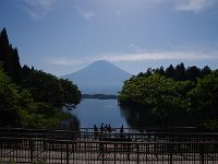 戻ってきました