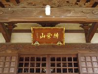 IMG 5479