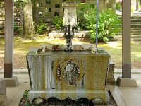 IMG 5539