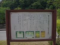 IMG 5557
