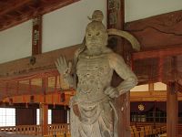 IMG 5564