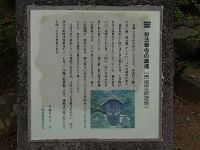 IMG 5582