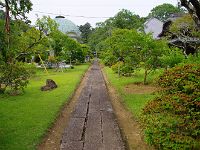 IMG 5584