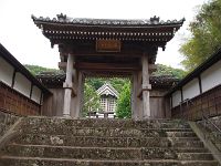 IMG 5586
