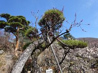 DSC04678