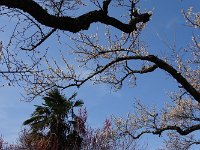 青空に恵まれましたね