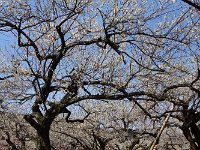 DSC04760