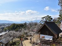 展望台付近から