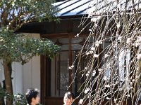 良い風情ですね！