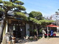 DSC 0433
